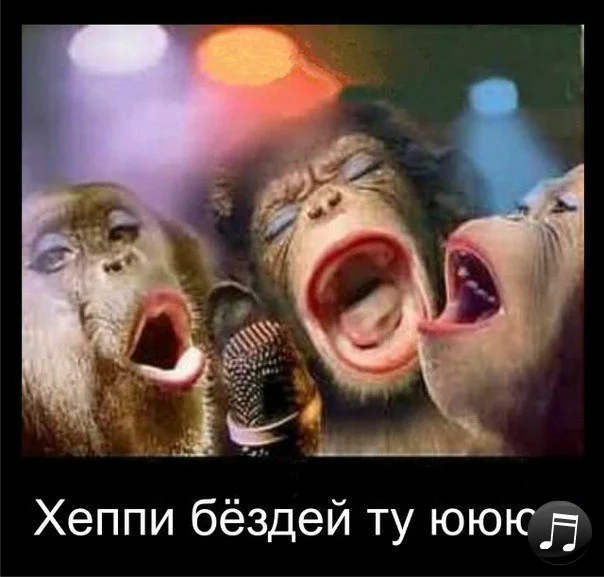 761445256415754496.webp