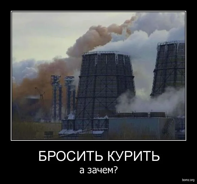 765023-2010.02.01-06.51.46-dem4462.webp
