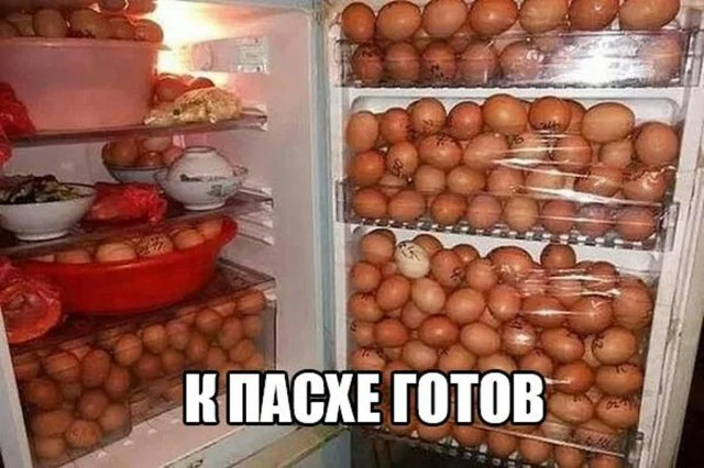 7654392.webp