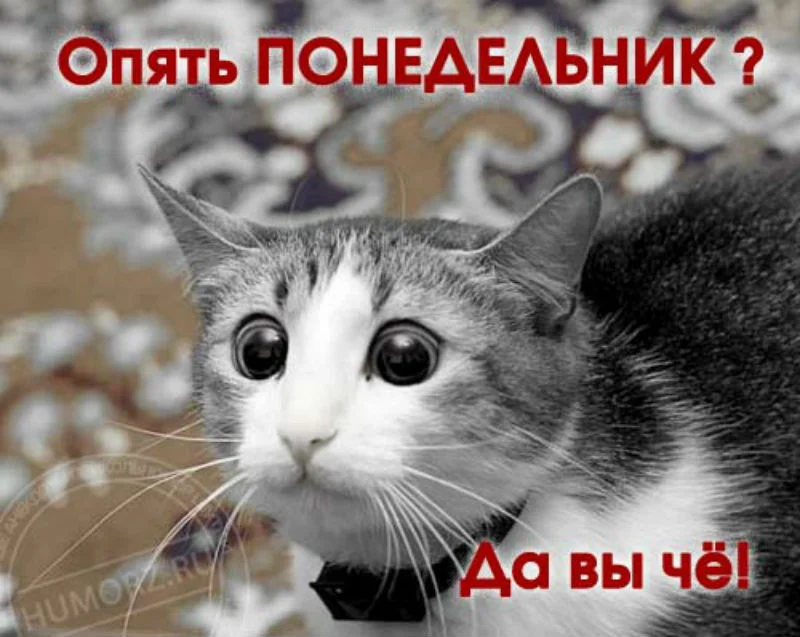 7673842.webp