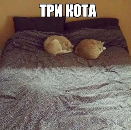 7697123.webp