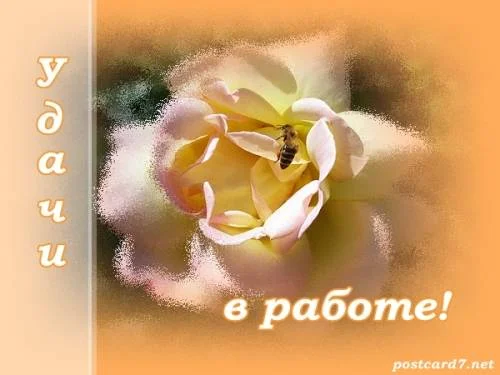 769842941.webp
