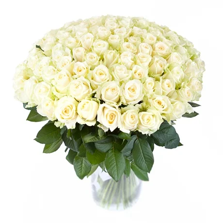 76a77c8a1ab158544756cc19fc0c7c22.webp
