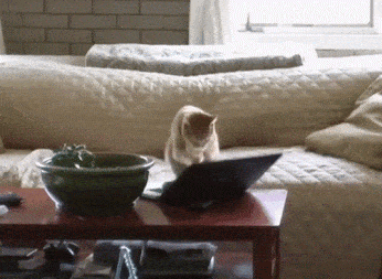 76ae593c8d4f9aa170b5ba5340a121a00f865493_00.gif