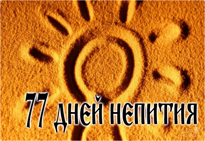 77 небухл.webp