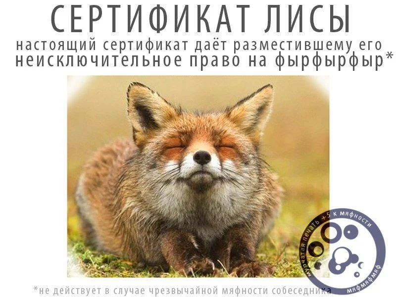 77265862.webp