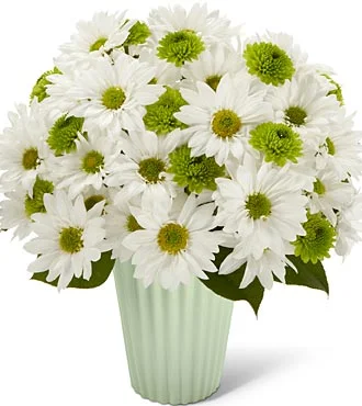 776.webp