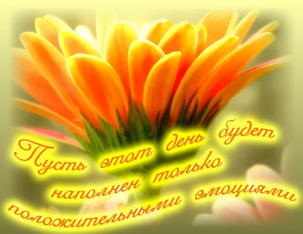 77632483_1232482019_dd.webp