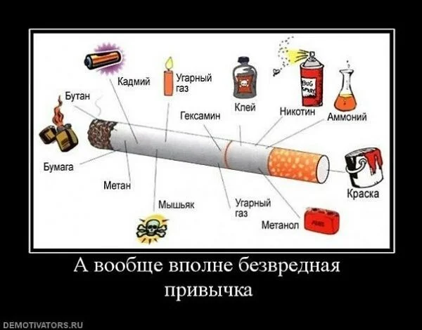 7799241.webp