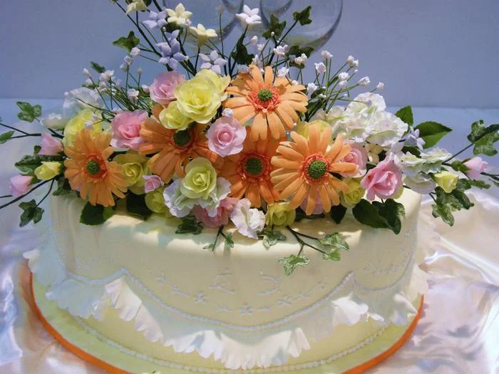 78405813_large_tort_31.webp