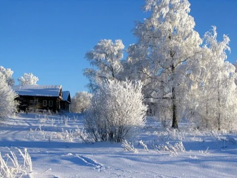 787319-acd97cee570d90b2.webp