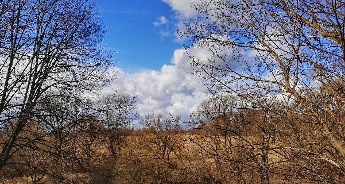 78906540-44BF-4C14-BE1D-021EA5403F5C.jpeg