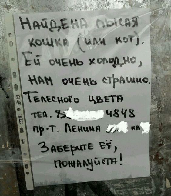 78b5aea32a55812693c1610a05b029c9 (1).jpg