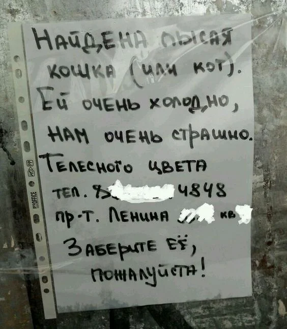 78b5aea32a55812693c1610a05b029c9 (1).webp