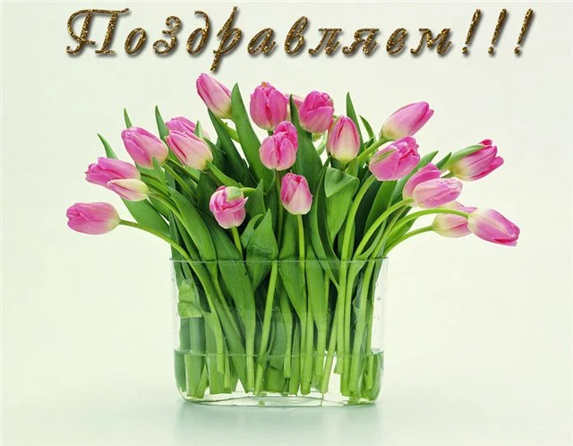 790b52e53e7e.webp