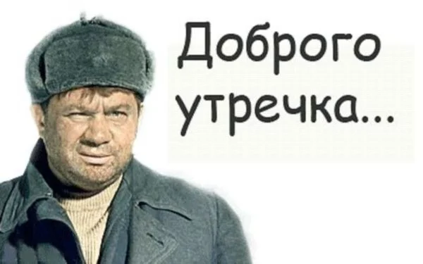 7930476.webp