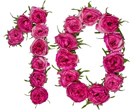 79669402-arabic-numeral-10-ten-from-red-flowers-of-rose-isolated-on-white-background.webp
