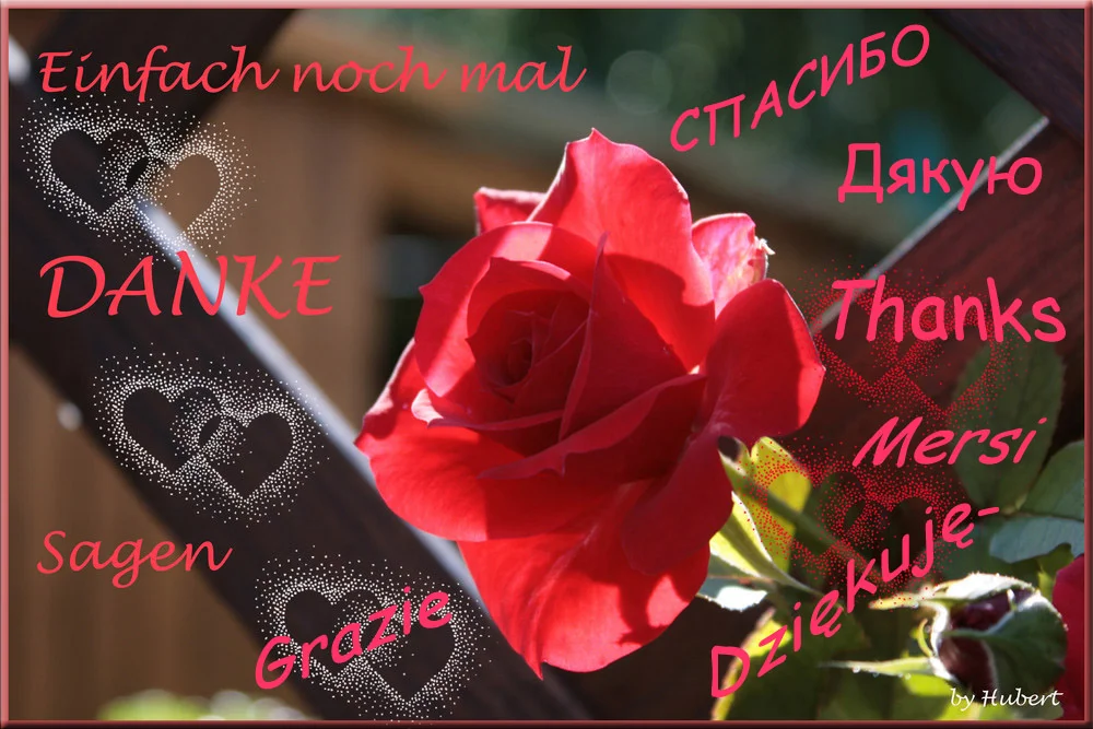 797573.webp