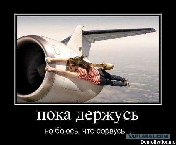 7993415.webp