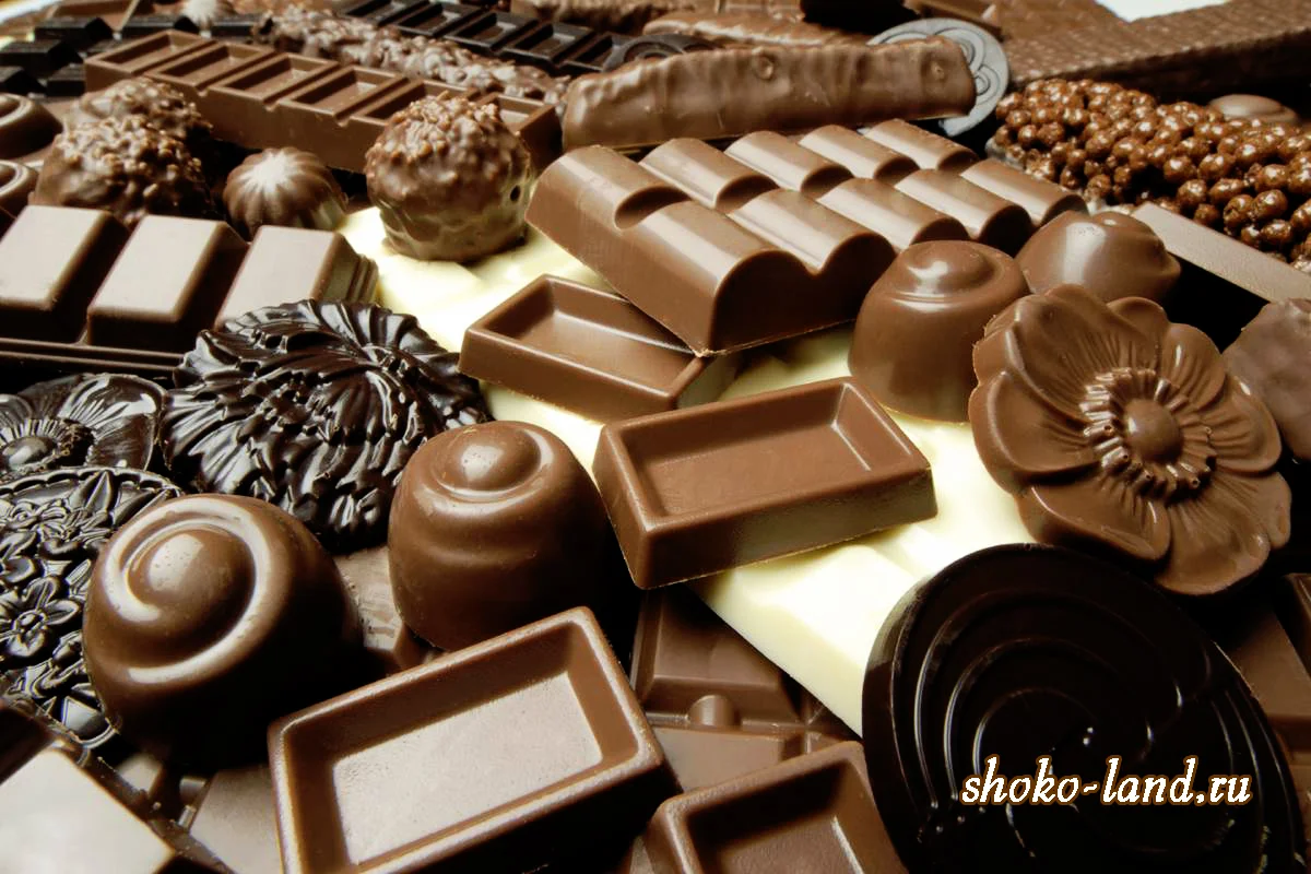 79988672.webp