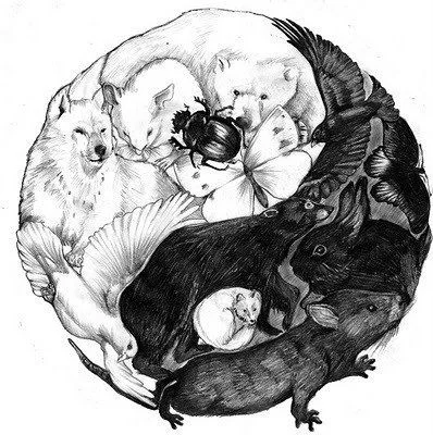 7a6631991d13c3ddd0336a017ecc9cad--yin-yang-tattoos-tattoo-animal.webp