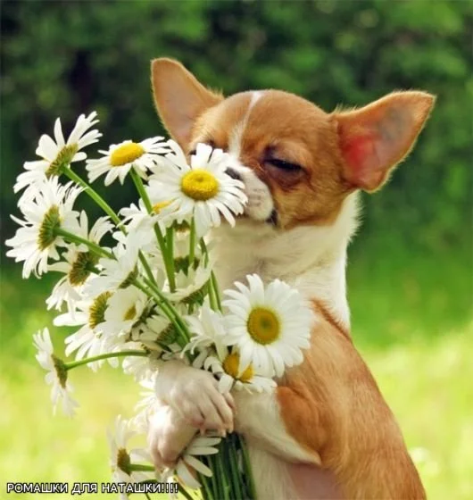 7b170d85745f.webp