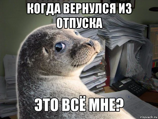 7b78fdd4c8edef3d2aa868e77f920057.webp