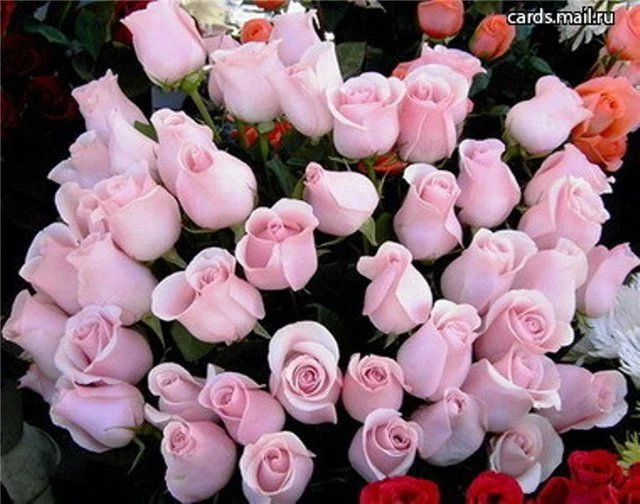 7cf045e80fca.webp