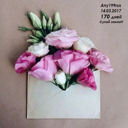 7d6b98a11cb970e907cff753b3fd27ea - копия.webp