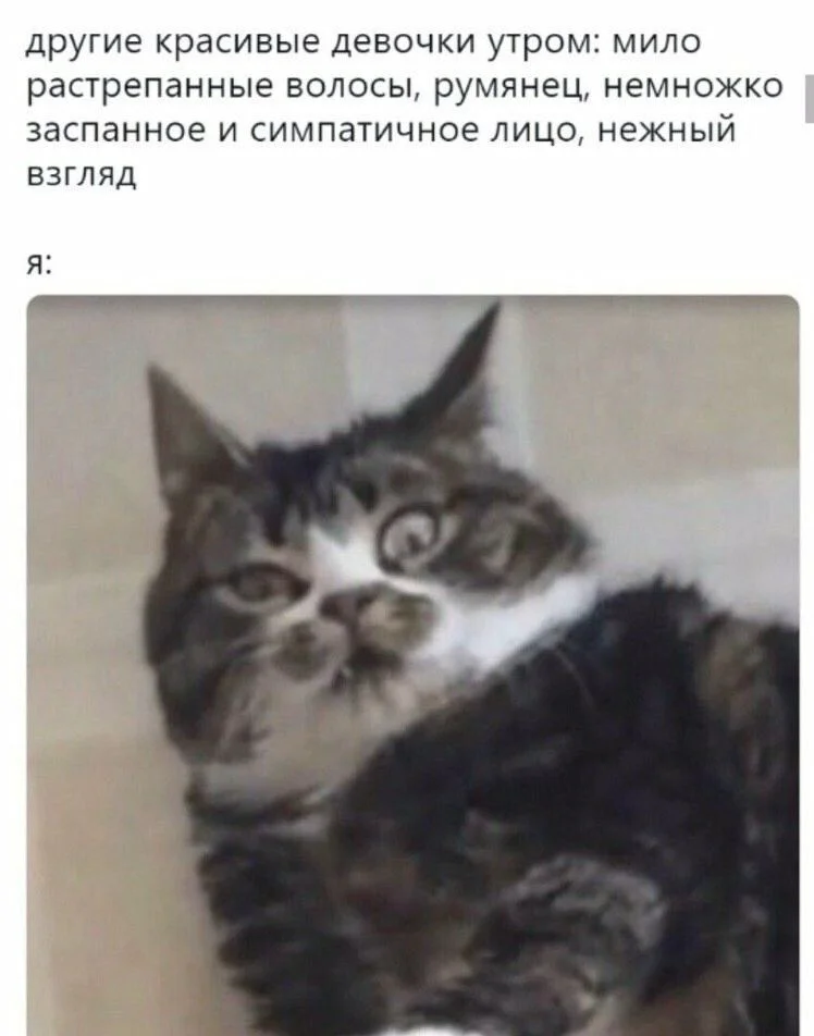 7df1a0c6c14b45acad5bead789e7ba21.webp