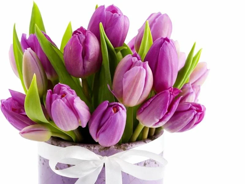 7ec1c2798a7fecebe6f4565021a90086.webp