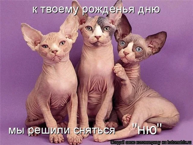 7f20b5f8d738074d4743130ab2bbba75.webp