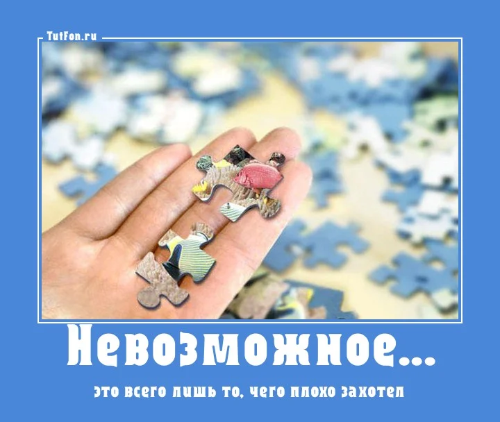 7f75176cf57d625fa869c3a2e61016b6.webp