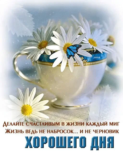 7f91ae355ef353a75a476287257a091e.webp