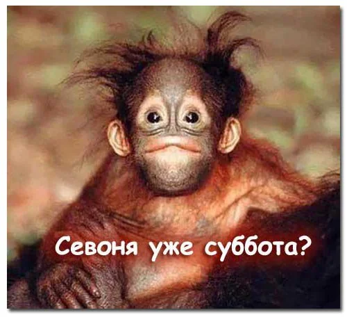 7fa02ccd583d.webp