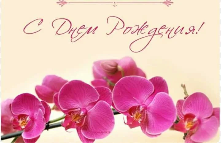 7fb70c92d278b07d158a29b9b54e218e.webp