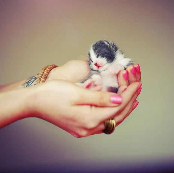 7fc0c909b99fecab504aa2e357d9a5a3 (1).webp