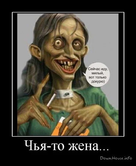 7mekD5DIrO0.webp