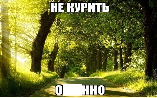 7UTlGKNgWj4.webp