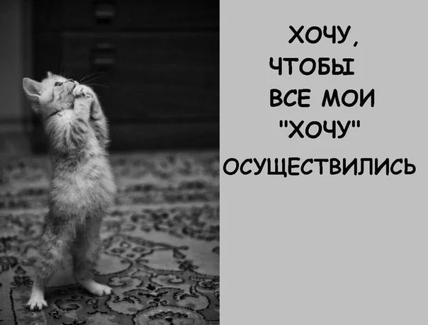 7vyLkWAXwEE.webp