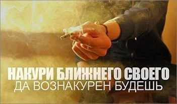 8,019c444f735afd47.webp