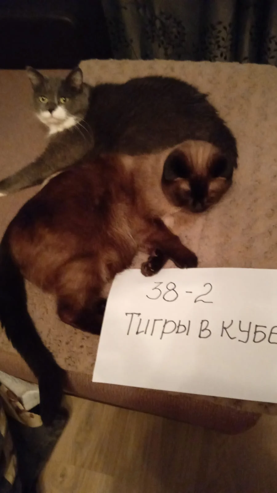 8 Дима КЭП.webp