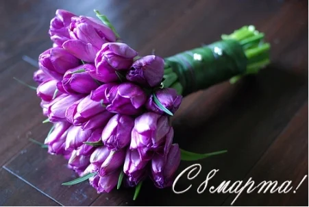 8-marta.webp