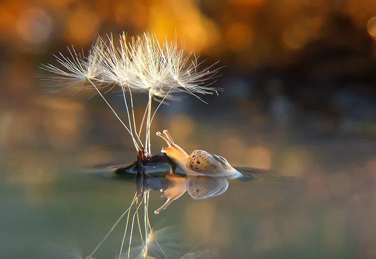 8-Необычный островок.webp