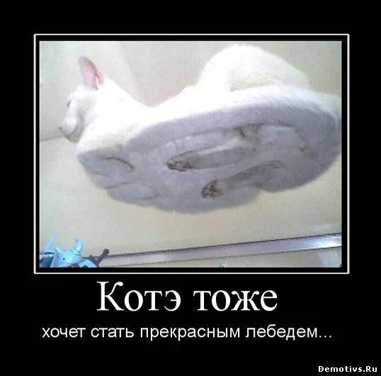 8.webp