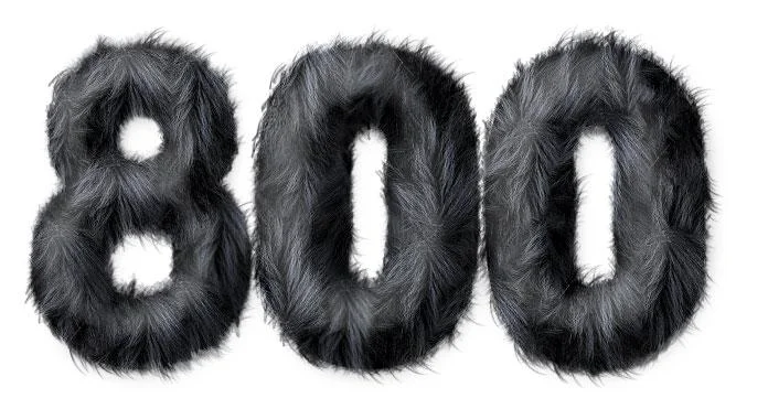 800.webp