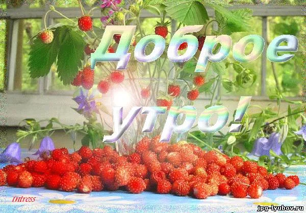 800098313.webp