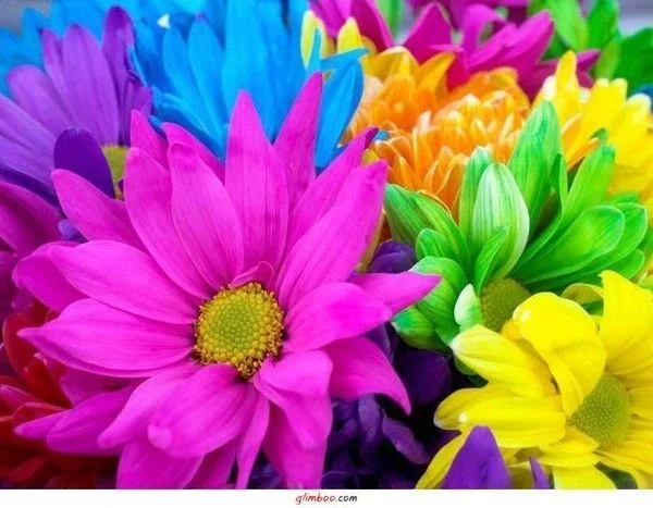 800x600_dr9T3O1LDbFXMSdH9cKc.webp
