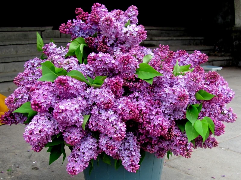 800x600_F550Cn7wy5x6O2e4BB4c.webp