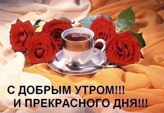 800x600_xB6ETh466CL0qCmNdXMR.webp